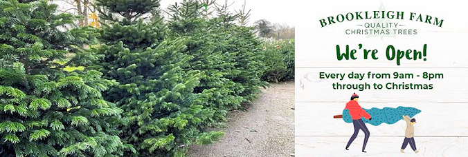 Brookleigh Farm - Pot-grown & Freshly Cut Christmas Trees